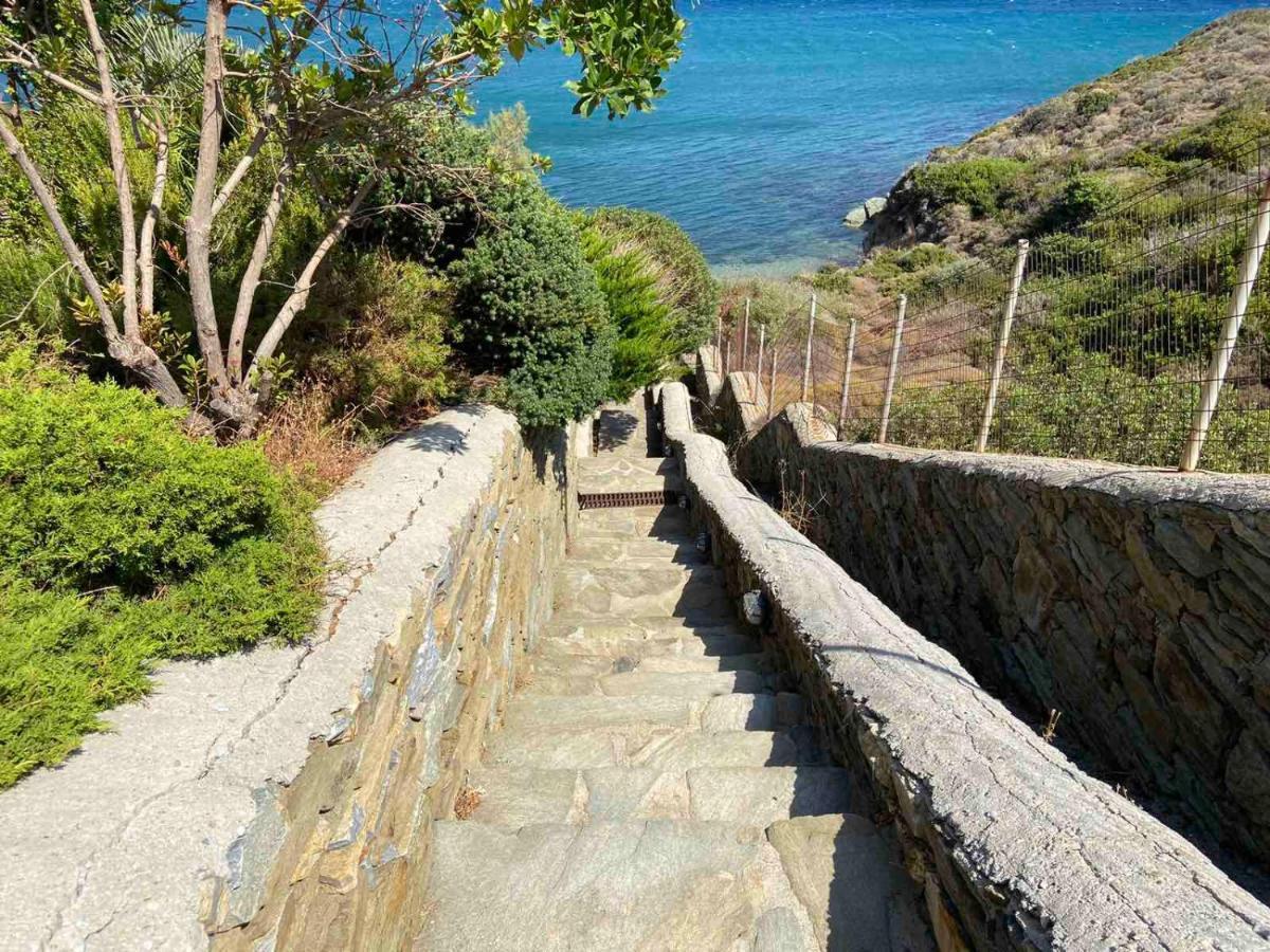 Andros Homes Sea Side Apartment & Studio Gavrio Eksteriør billede