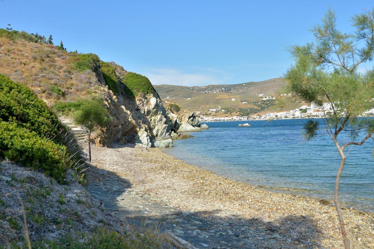 Andros Homes Sea Side Apartment & Studio Gavrio Eksteriør billede